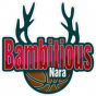 Bambitious Nara Japan B2.League