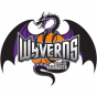 Yamagata Wyverns Japan B2.League