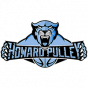 Howard Pulley 15U Nike EYBL U-15