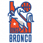 Once a Bronco 