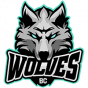 Wolves Vilnius Lithuania - LKL