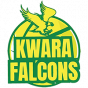 Kwara Falcons Basketball Africa League