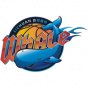 Hasheem Thabeet nba mock draft