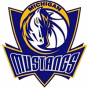 Michigan Mustangs, USA