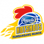 Magnolia Hotshots Philippines - PBA