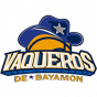 Bayamon Puerto Rico - BSN