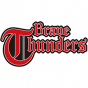 Kawasaki Brave Thunders Japan B.League