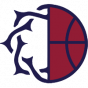 Kingdom Hoops 