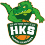 Hapoel Kfar Saba 