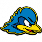 Delaware NCAA D-I