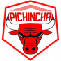 Pichincha Potosi 