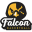 Falcon Copenhagen U-15