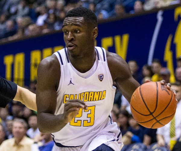 jabari bird