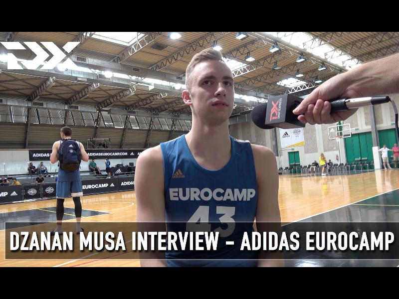 Dzanan Musa profile