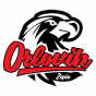 Orlovik Zepce BiH - Premiere League