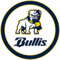 Bullis School 