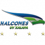Halcones Xalapa Mexico - LNBP