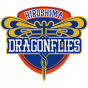 Hiroshima Dragonflys Japan B.League
