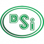 Istanbul DSI 
