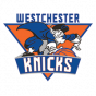 Westchester NBA G-League